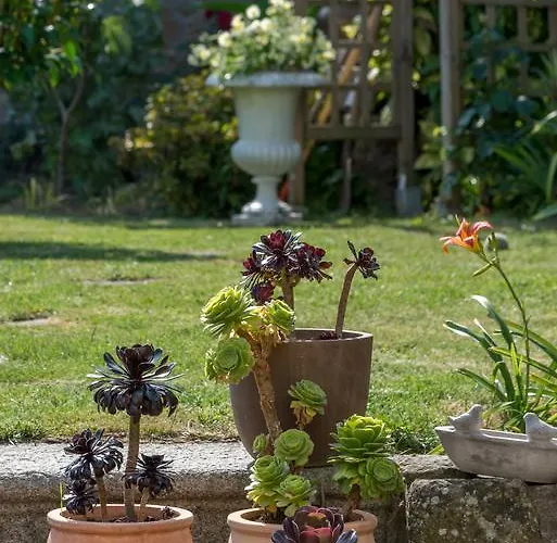 Bed & Breakfast La Boudrie 3*